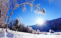 唯美冬季雪景(10)