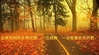 秋天无限美好(8)