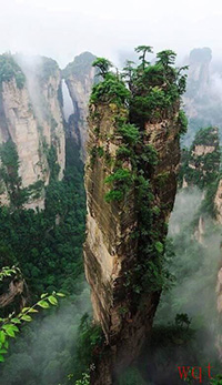 张家界国家森林公园特色美景(9)