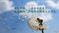 唯美清新文字控励志壁纸(10)