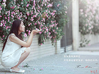 蔷薇下唯美美女(10)