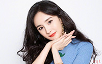 优雅迷人小蜜蜂杨幂知性妩媚休闲写真(9)